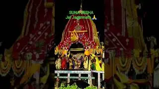 SUNA BESHA 2025 @PURI #live #live #jagannath #sunabesha #puri #rathyatra #festival @Jai Jagannath