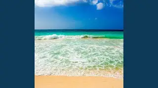 Vibes tropicales