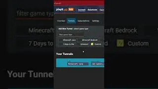 This is how you make a Minecraft server without portforwading for free | #shorts