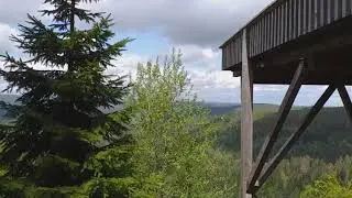 Aussichtsplattform Ellbachseeblick