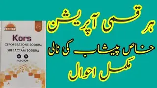 Kors Injection 2gram | Antibacterial, Broad Spectrum Antibiotic