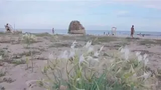 Andrew'S home - Playita Casa Vacanze a Torre Pali
