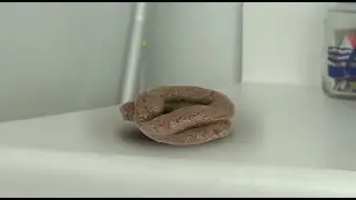Squashing poop