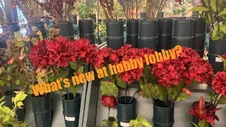 COME SEE WHATS NEW AT HOBBY LOBBY 🛍🛍