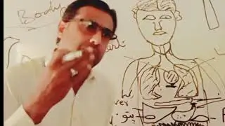 picture of human body structure internal parts of human organ