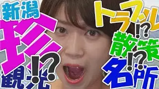 【新潟珍観光】狐の嫁入り会館・将軍杉　阿賀町をドライブ♪名所を散策？　#新潟観光