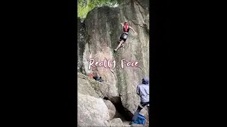 Really Face f7c, Beacon hill
