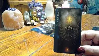 Summer Wells - requested reading