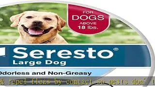Seresto Large Dog Vet-Recommended Flea & Tick Treatment & Prevention Collar for Dogs Over 18 lbs. |