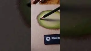 kiwi 🥝 fruit realistic drawing #artist #youtubeshorts #kiwi #viralshorts #art