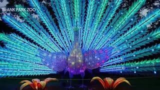 Wild Lights Festival preview
