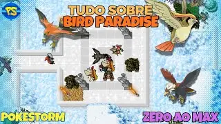 Tudo sobre a Bird Paradise no PokeStorm - Do Zero ao Max PokeStorm Ep. 7