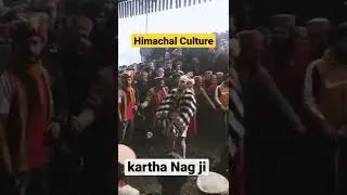Culture of kullu|Himachal Pradesh|kartha Nag ji|Himachal diaries#himachal #shorts #india #yt #viral