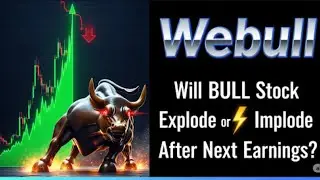Webull's Stock Profit Surge: Will BULL Stock Explode or Implode After Next Earnings?