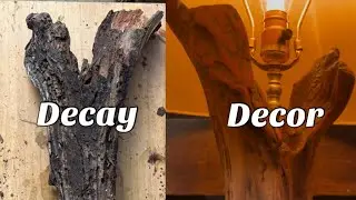 DIY Rotted Log to Decor Lamp [Barn Crafts] ASMR