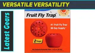 TERRO T2502 Fruit Fly Trap: Ultimate Solution? 90-Day Test