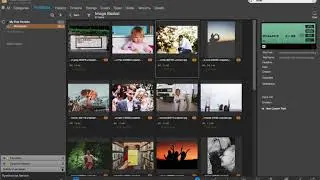 Photo Supreme - Custom Input Fields