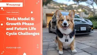 Tesla Model S: Growth Phase and Future Life Cycle Challenges - Research Paper Example