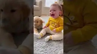 Милый смех малыша 😍 | Смешные детские видео | #шорты #смехдетей #смешныевидеодетей