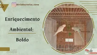 Elias Viana Breeding Center: Environmental Enrichment: Boldo.