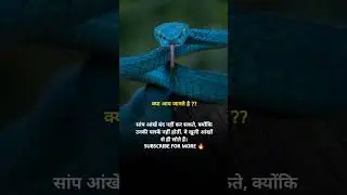 Amazing facts 🔥#gkinhindi #facts #currentaffairs #dailyfacts #snakevideo #snakefacts #tiktok