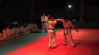 Hanmudo is the most advanced joint lock and self defense technices