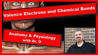 Valence Electrons and Bond Types:  Anatomy and Physiology