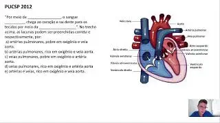SISTEMA CARDIOVASCULAR - PUCSP