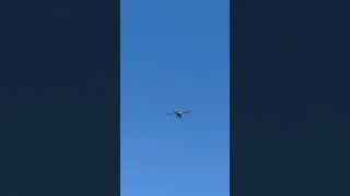 A Small Plane Files An Ad Banner Over  New York Harbor, NYC Skies Buzzing. #NYC #AerialAds