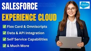 Salesforce Expierience Cloud & Quoting Demo: Flex Cards, Omniscripts & Data Integration
