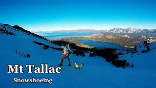 Winter Lake Tahoe| Snowshoeing Mt Tallac in 2022