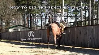 How To Use The Fence To Teach A Horse To Side Pass Preview