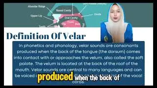 PALATAL & VELAR | Place of Articulation| Definitions, Organs Produce and Example