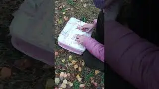 компьютор