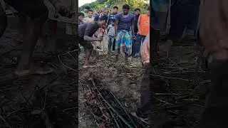 Best Village Fishing Video #fish #fishing #villagepond #vlog