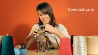 How to Turn a Large Sock into a Tiny Dog Sweater