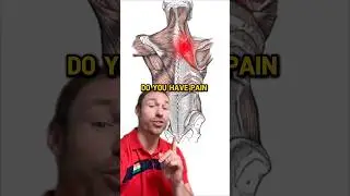 Fix Neck & Mid-Back Pain FAST! 😳