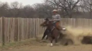 Equine Health Tip, It Takes More Than Biotin to Maintain Healthy Hooves
