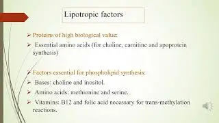 Cholesterol metabolism-Lipotropic factors