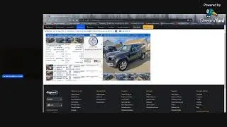 Auto Auction Action