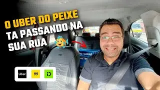 Entreguei at&eacute; peixe! Se paga bem, que mal tem? 🤷🏻&zwj;♂️