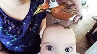 Dabchick ~11~ Hit Me Baby