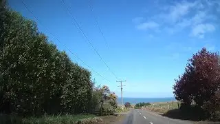Driving Bushy Beach Road in Oamaru | Otago | New Zealand | 4K