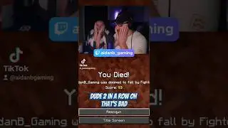 it really do be like that sometimes #vaulthunters #moddedminecraft #gamingstream #twitch