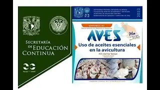 Uso de aceites esenciales en la avicultura