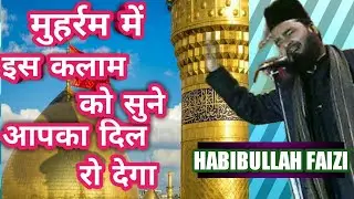 HABIBULLAH FAIZI - मुहर्रम में इस कलाम को सुने आपका दिल रो देगा - HUSSAIN KA SAR....NAAT INFO