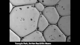Grain growth in Octachloropropane in a partial melt system (SUNY)