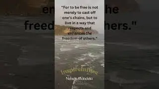 Nelson Mandela's Inspiring Quote on Freedom and Respect | InspireInfuse