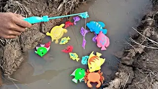 Wow amazing,Fishing for Marin Animals in Ric Fields,Badaut Fish,Shaks,Sea Crabs,Gold Fish