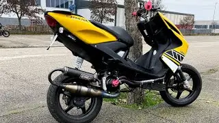 rox 2+ presentation and wheelie